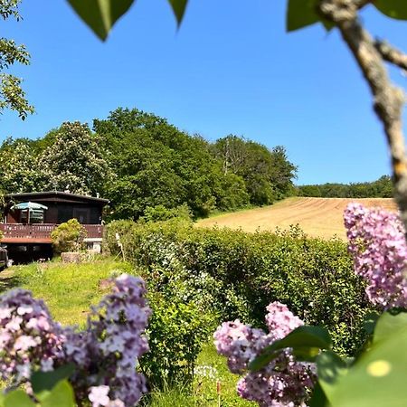 Ferienhaus Zittertal Neustadt Harz Haus I Villa Harztor Exterior foto